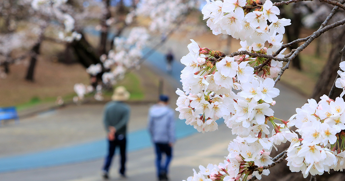 稲荷山公園